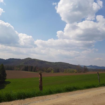 Apartament Fewo Schiffner Bad Schandau Zewnętrze zdjęcie